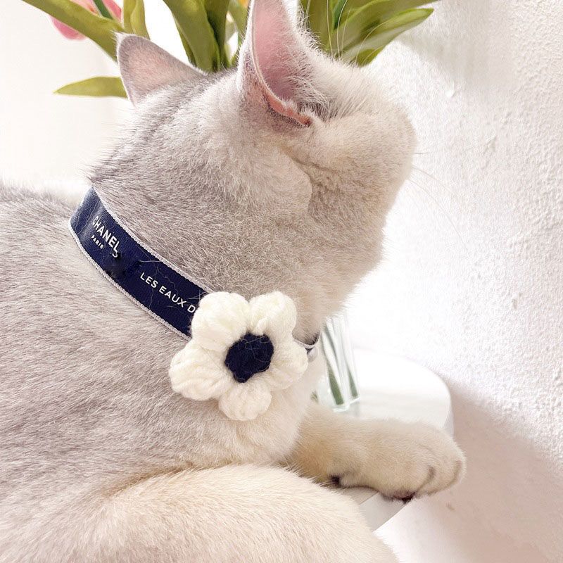 Luxury Floral Ribbon Pet Choker – Designer-Inspired Cat & Dog Collar